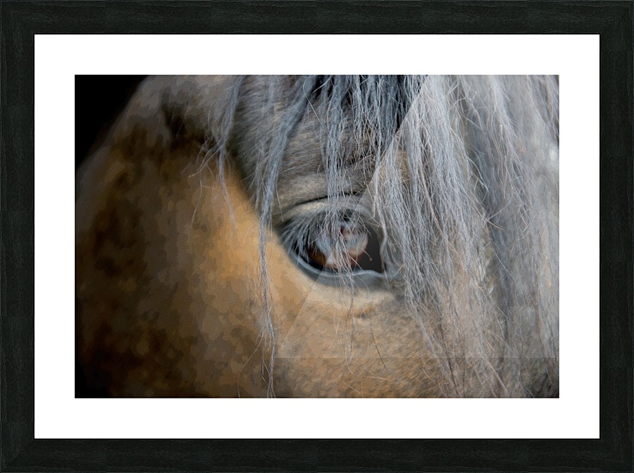  Misty 645 Picture Frame print
