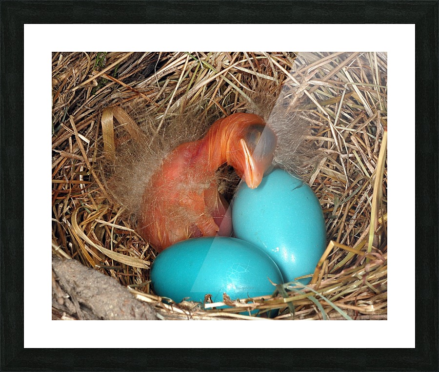 Syblings 22 Picture Frame print