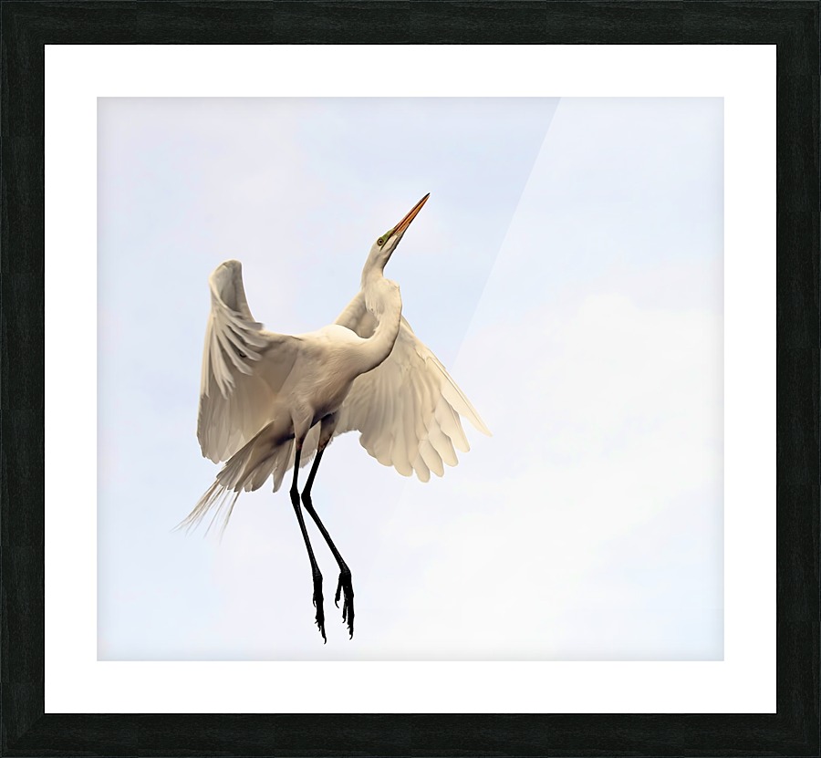 Beautiful  2249 Picture Frame print