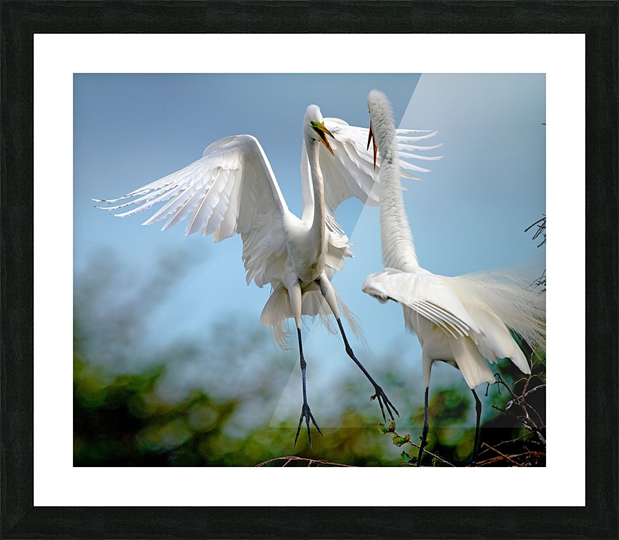 Hello 2031 Picture Frame print