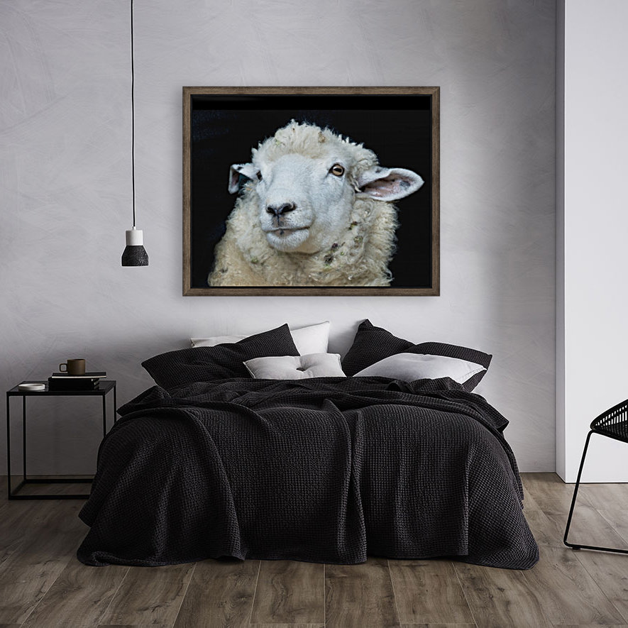 Happy Sheep 488 Reproduction