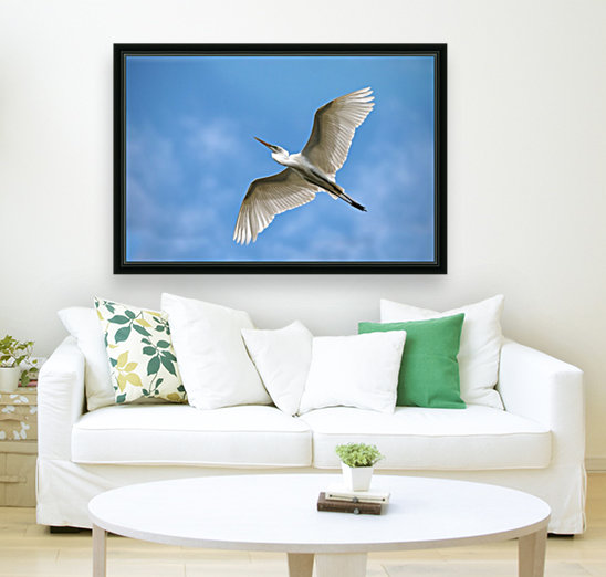 Flight  2121 Reproduction