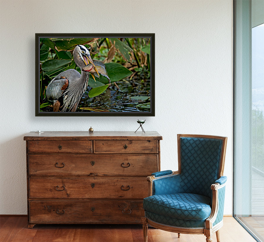The Catch 2532 Reproduction