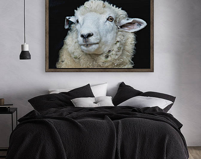 Happy Sheep 488 by Matthew Lerman
