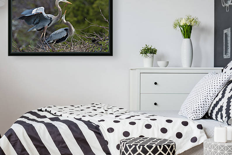  Courtship : Great Blue Herons 110 by Matthew Lerman