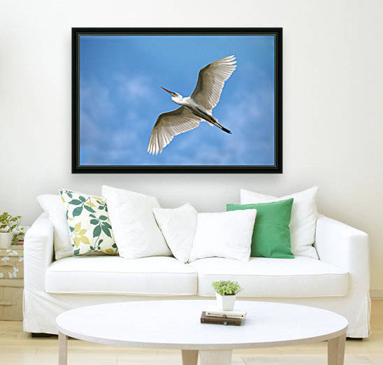 Flight  2121 Reproduction