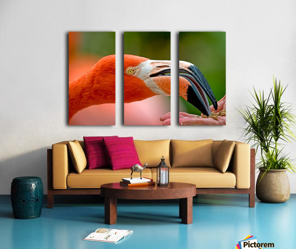 Feeding Flamingo 2372 by Matthew Lerman Wall Art