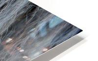  Misty 645 HD Metal print