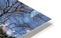 Battenkill River -winter 202 HD Metal print