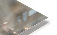 Sanderling 2491 HD Metal print