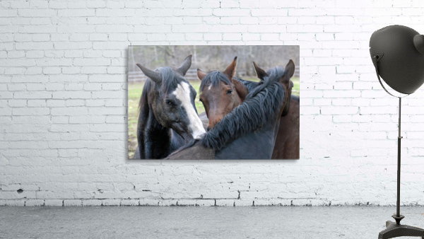 Three Horses 235 Wall Preview