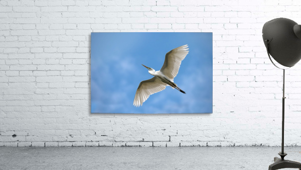 Flight  2121 Wall Preview