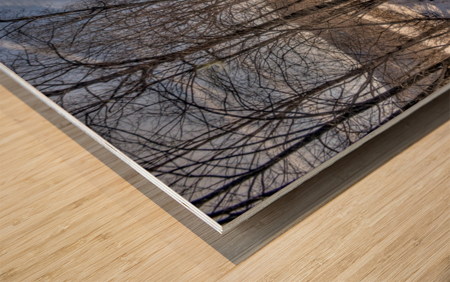 Battenkill River -winter 202 Wood print