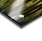   Foret   Acrylic print