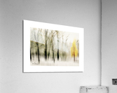 arbres floute Acrylic Print