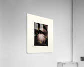  098 2 Acrylic Print