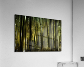   Foret   Acrylic Print