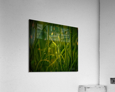     herbes  fine Acrylic Print