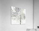Tempete Acrylic Print