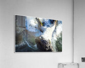 force nature Acrylic Print