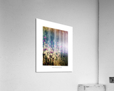 Jolies fleurs Acrylic Print