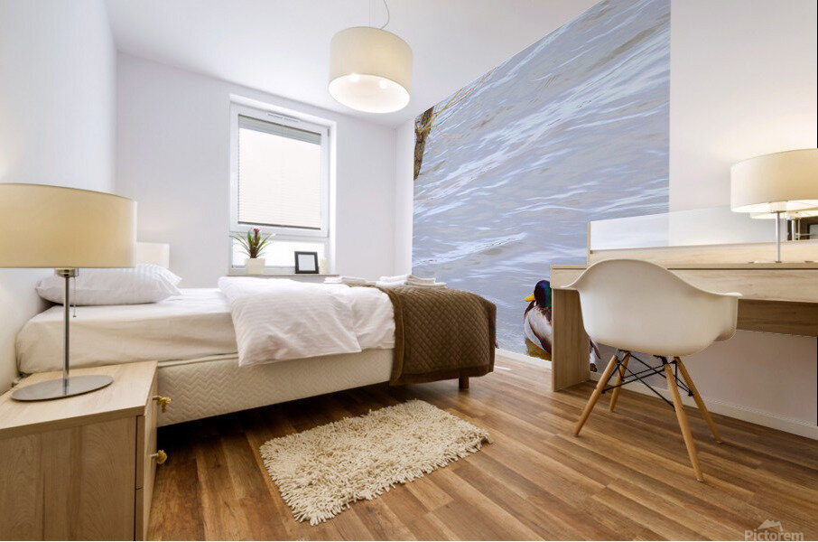 canards Mural print