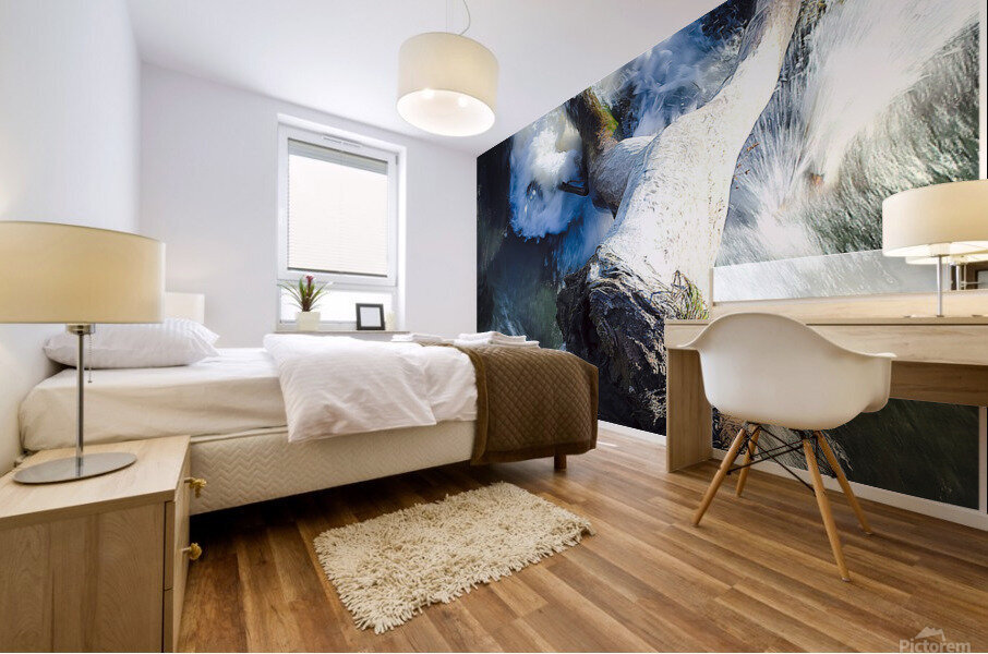 force nature Mural print