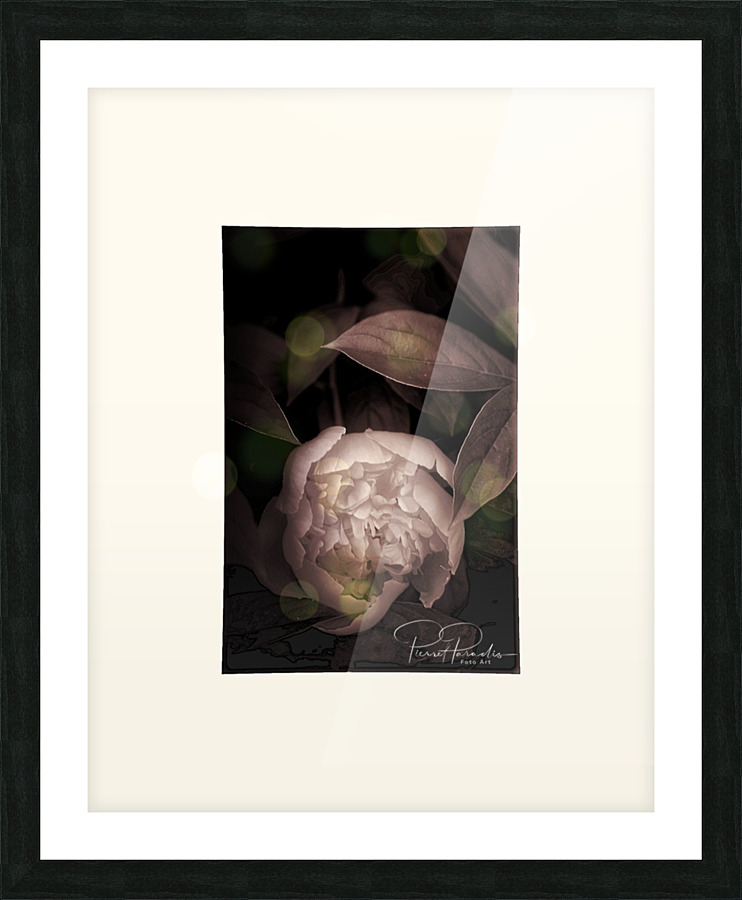  098 2 Picture Frame print