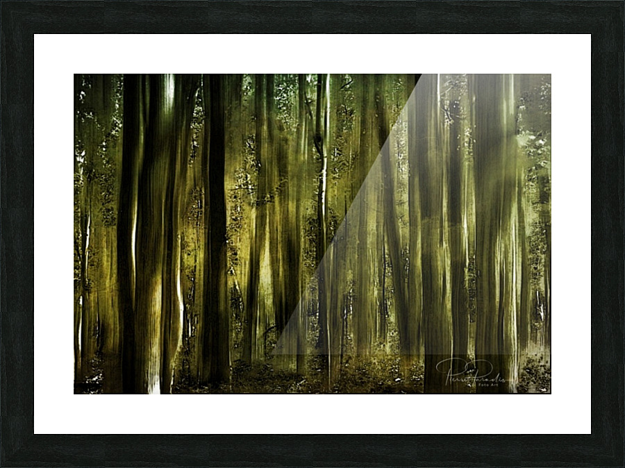   Foret   Picture Frame print