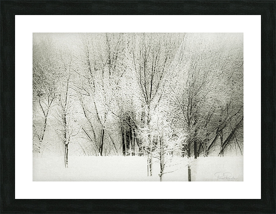 Givre Picture Frame print