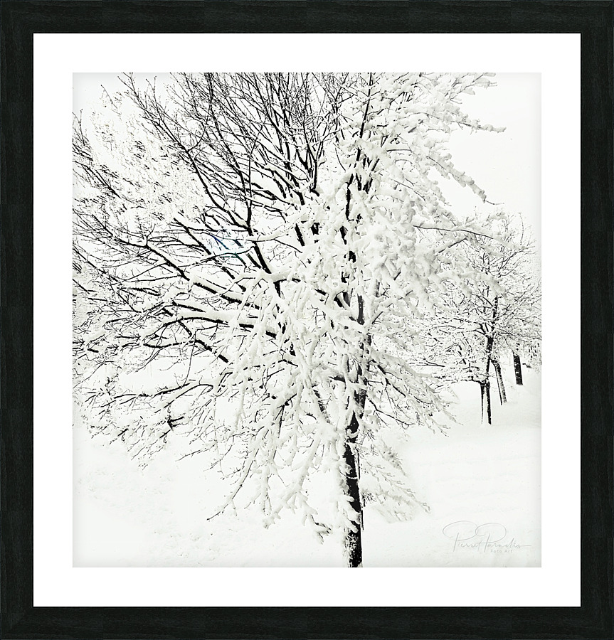 Tempete Picture Frame print