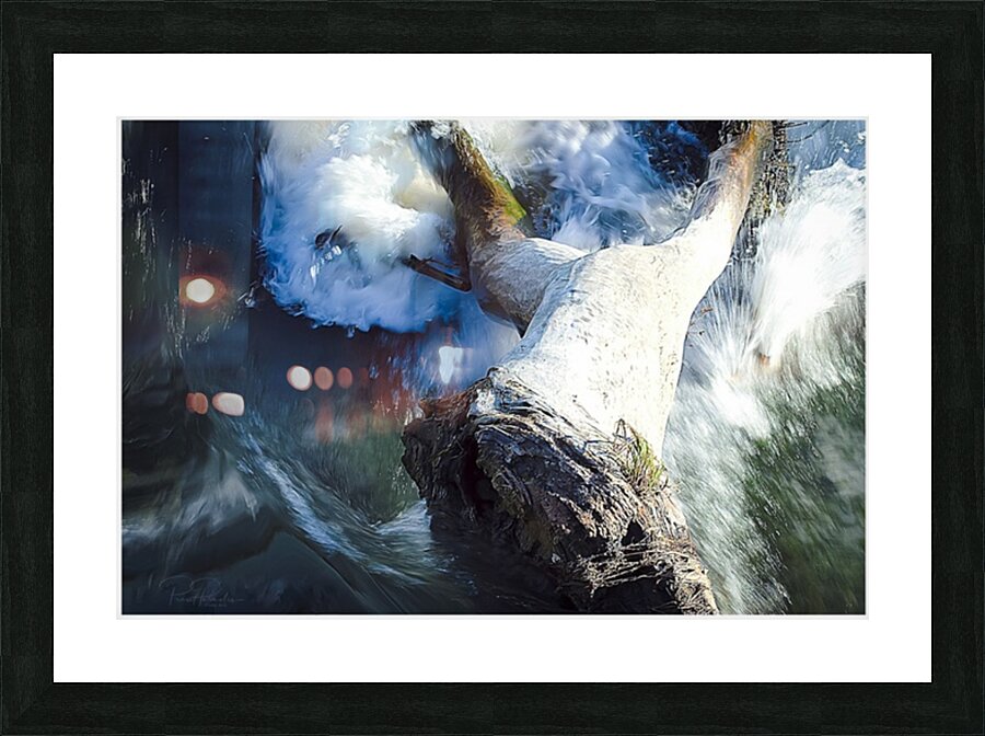 force nature Picture Frame print