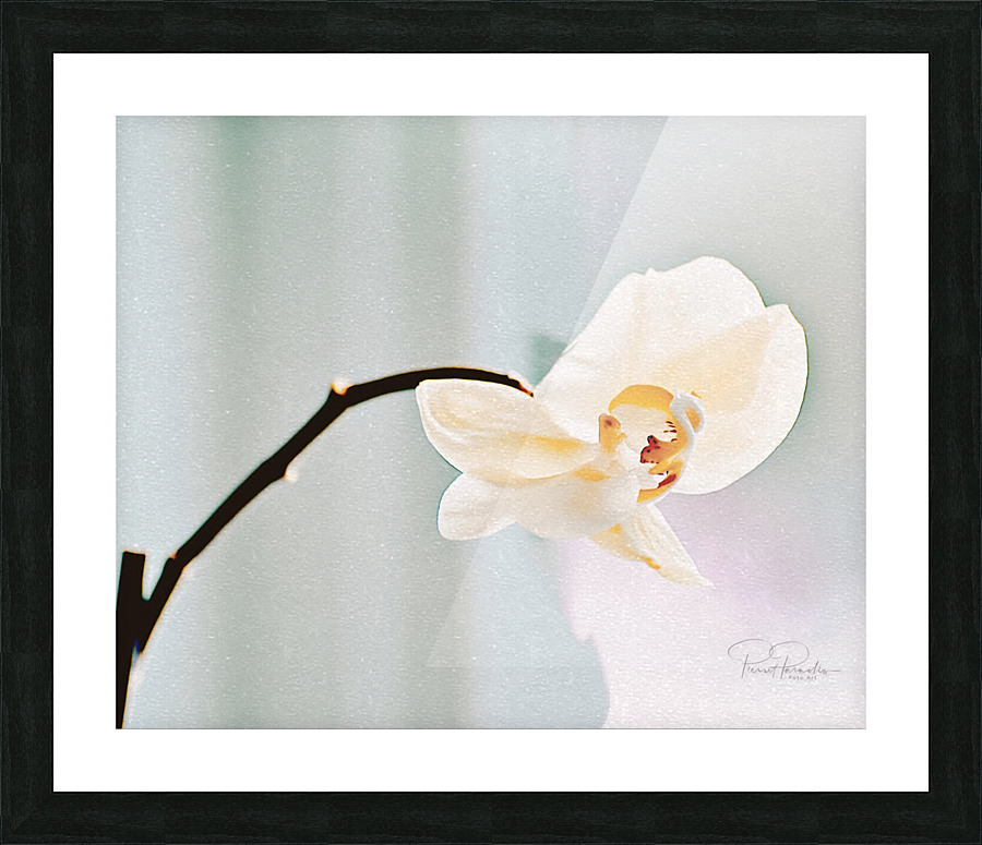 Orchidee Picture Frame print