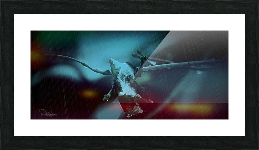 Feuille morte   Picture Frame print