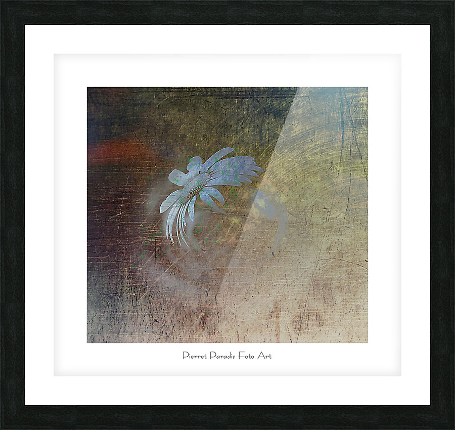 petite planete   Picture Frame print