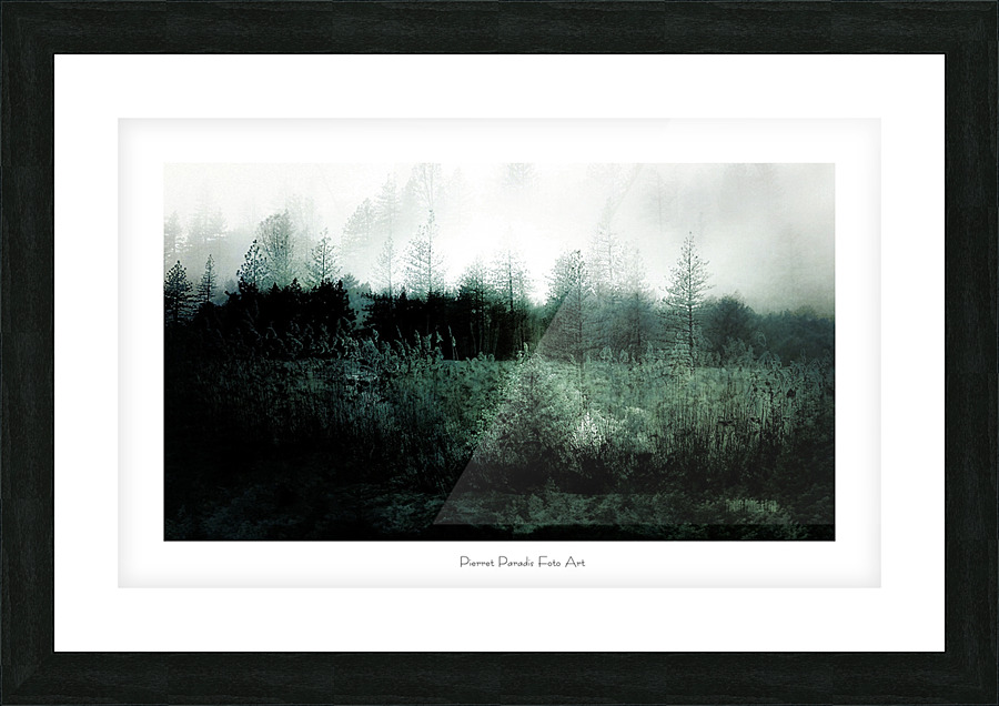Foret obscure Picture Frame print
