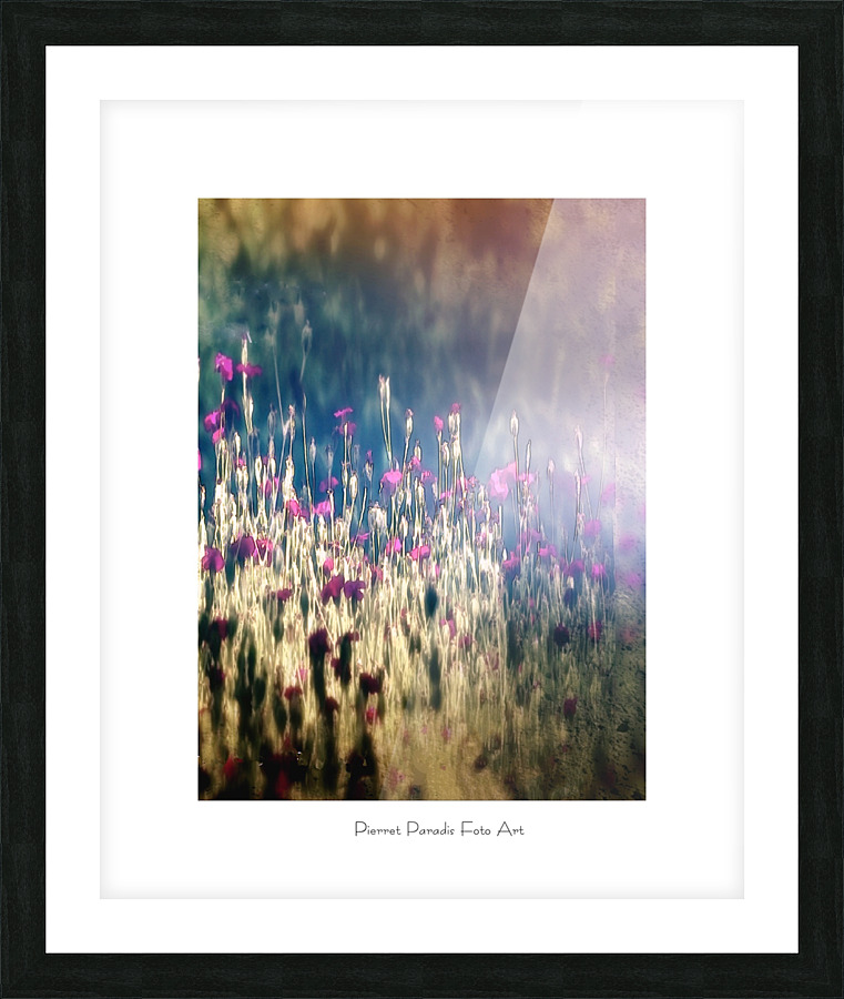 Jolies fleurs Picture Frame print