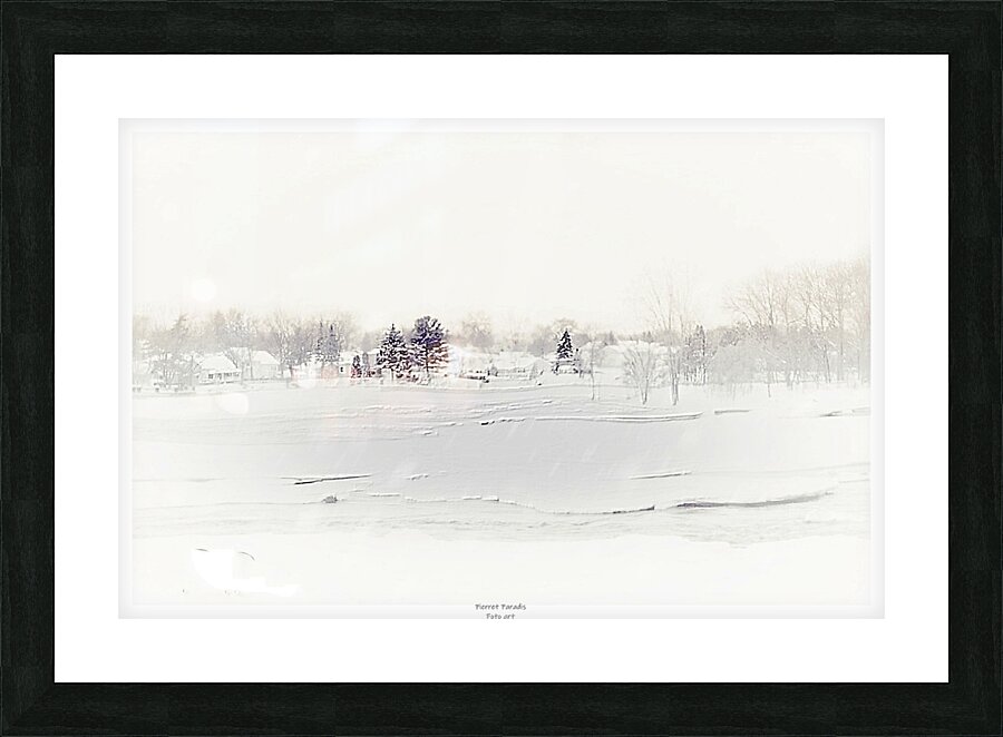  0000 1 1 Picture Frame print