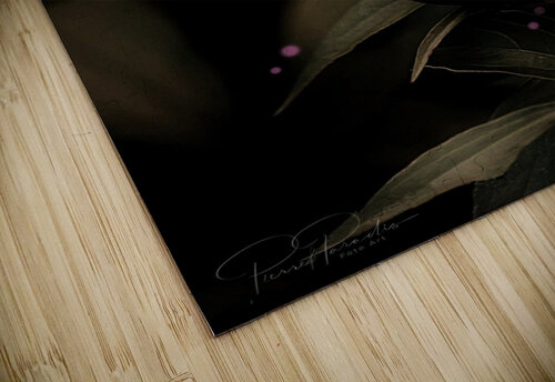 Eclosion rose   Pierret Paradis Foto Art puzzle