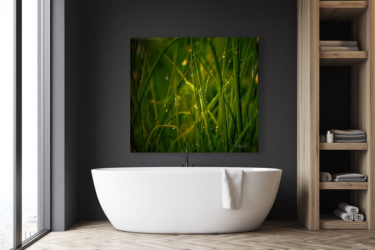     herbes  fine Reproduction