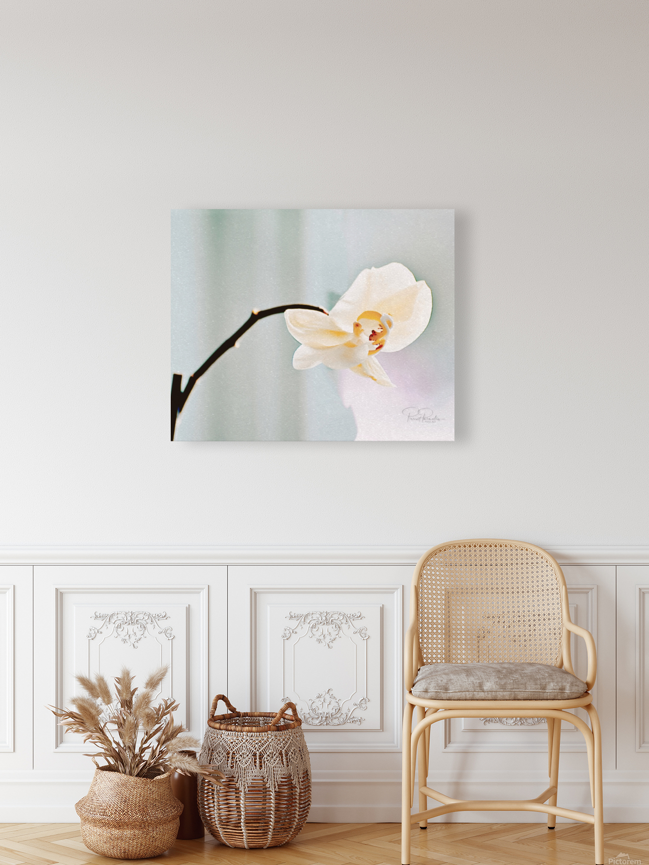 Orchidee Reproduction