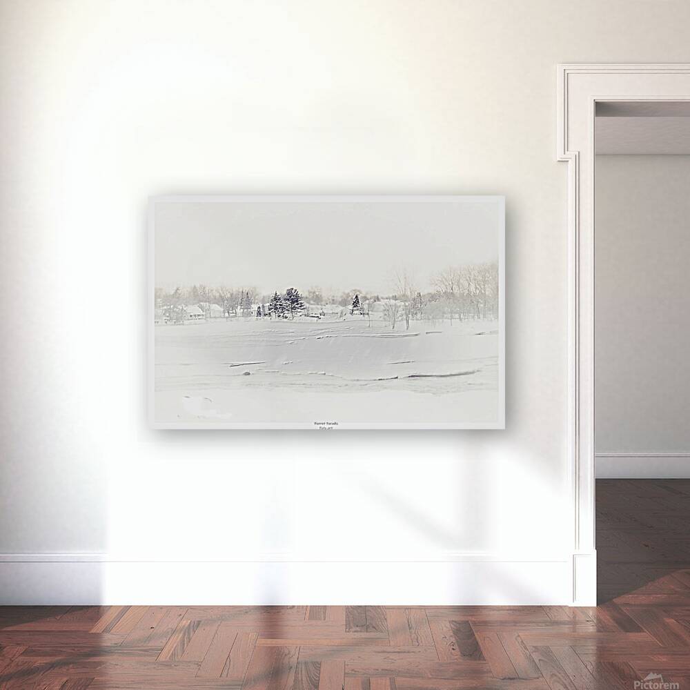  0000 1 1 Reproduction