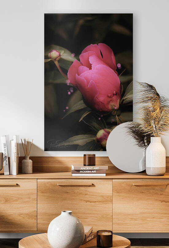 Eclosion rose   by Pierret Paradis Foto Art