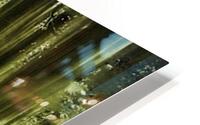   Foret   HD Metal print