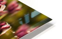 tulipes   HD Metal print