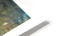 petite planete   HD Metal print