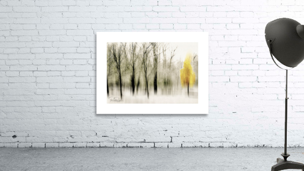 arbres floute Wall Preview
