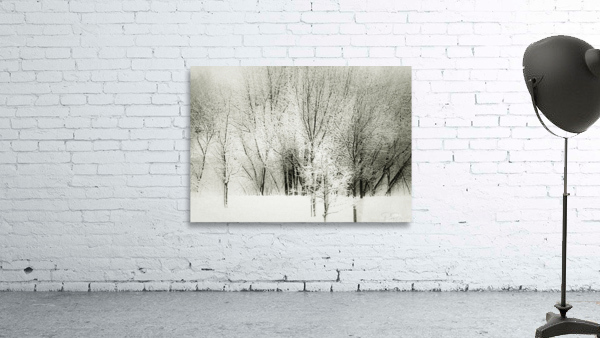 Givre Wall Preview