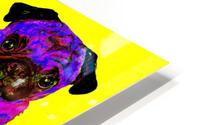 WARHOL PUG HD Metal print