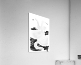 THREE FLAMINGOS Acrylic Print